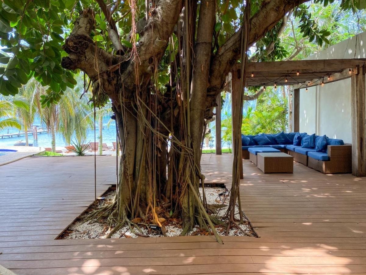 Villa Angela Isla Mujeres Extérieur photo